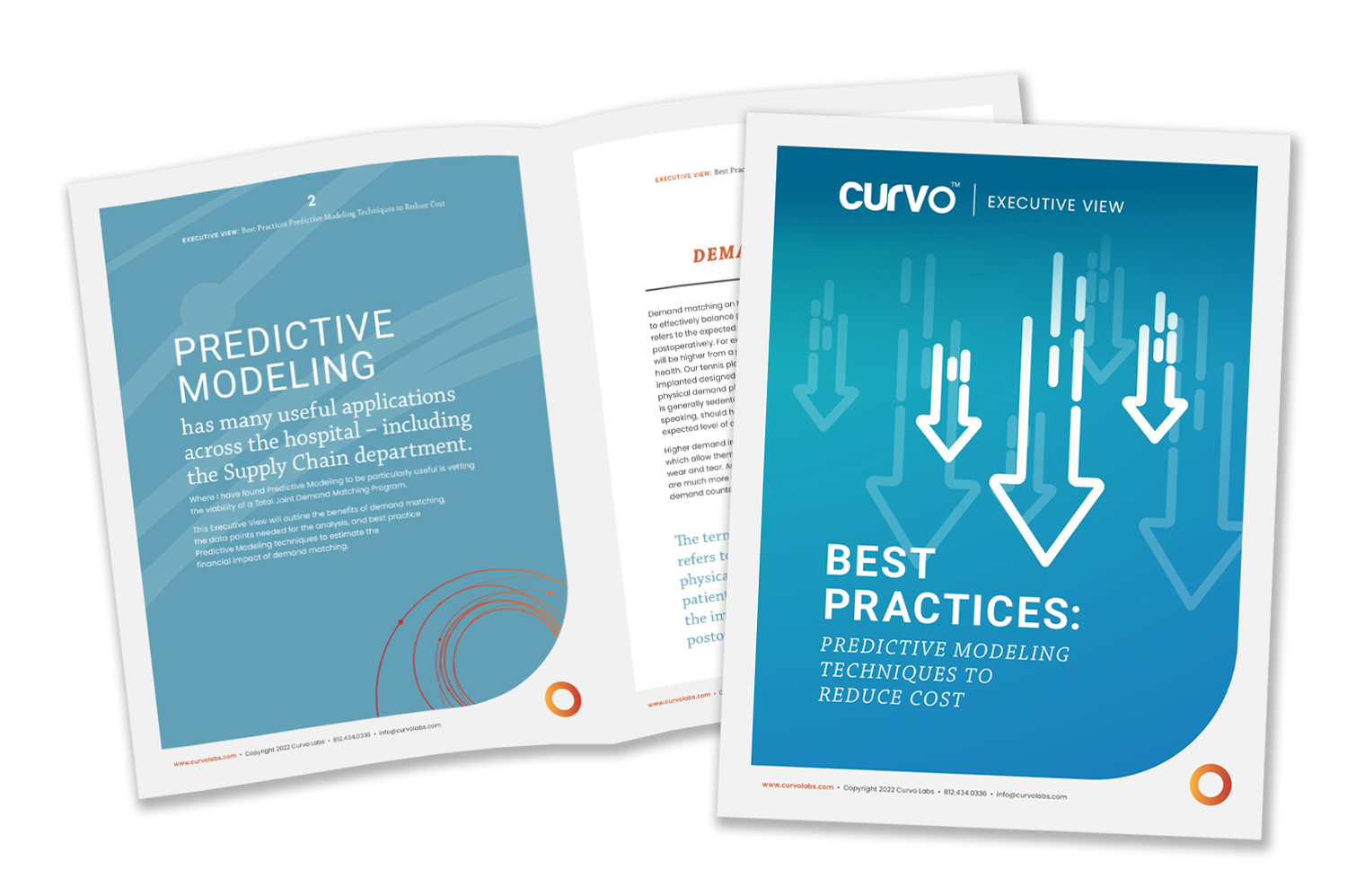 Executive View: How Predictive Modeling Can Create Significant Cost Savings