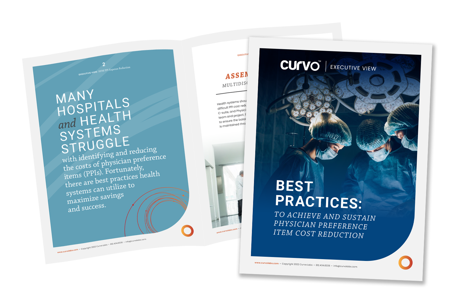 Executive View: Best Practices in PPI Cost Reduction